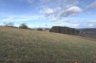 Grundstück zu kaufen in 7532 Litzelsdorf, Bauland-Grundstück in erhöhter, ruhiger Lage mit traumhaften Ausblick