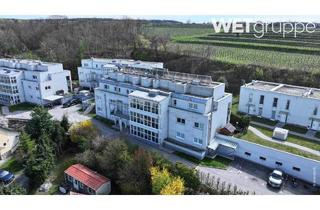 Wohnung mieten in Tobel 20/7, 3133 Traismauer, Traismauer | Geförderte Miete mit Kaufoption | Top 7 | 2.OG mit Dachterrasse