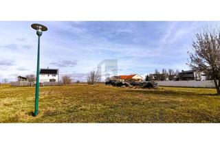 Grundstück zu kaufen in 7123 Mönchhof, GUT GESCHNITTEN - ZWEI ZUFAHRTEN - ERHÖHTE RUHELAGE - KEIN BAUZWANG