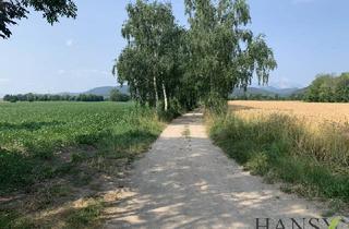 Grundstück zu kaufen in 2732 Willendorf, Traumhaftes Agrar-Grundstück in Willendorf: 314.000 m² mit ertragreichem Boden