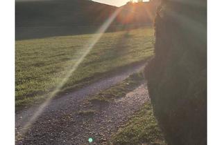 in 5203 Köstendorf, Verpachte Gartengrundstück in der Wallersee-Region