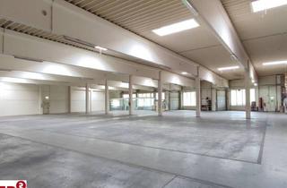 Lager mieten in 4063 Hörsching, Große Hallenfläche mit Büro