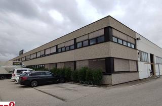 Büro zu mieten in 4063 Hörsching, Bestlage an der B1- zwischen Linz und Wels