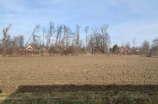 Grundstück zu kaufen in Halbenrainerstrasse, 8490 Bad Radkersburg, Gewerbe-/Entwicklungsgrundstück ca. 8.500 m² | BD 0,2–0,6 | Bad Radkersburg | Zufahrten B69 + Gemeindestraße | Grenznähe