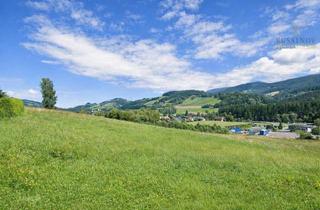Grundstück zu kaufen in 9463 Reichenfels, Sonniges Baugrundstück in Wolfsberg