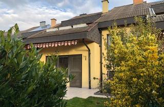 Reihenhaus kaufen in Frohsdorfer, 2700 Katzelsdorf, Top angelegtes Reihenhaus in ansprechender Halbstockbauweise