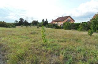 Grundstück zu kaufen in 2203 Eibesbrunn, GRÖSSEN UNTERSCHIEDLICHE GRÜNGÜRTELFLÄCHEN Mit ZUKUNFT – UNTERSCHIEDLICHE NUTZUNG