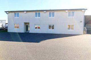 Büro zu mieten in Sochorgasse 11, 2512 Tribuswinkel, Bürofläche mit Lagerhalle / Werkstätte zu vermieten!