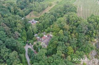 Haus kaufen in 1190 Wien, Seltenes Biedermeier-Schatzstück in exklusiver Lage Wiens A\\