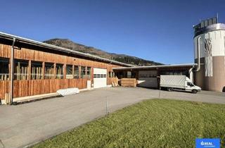 Gewerbeimmobilie kaufen in 9912 Anras, Ein Unternehmensstandort, der mitdenkt.