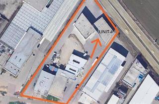 Büro zu mieten in 2345 Brunn am Gebirge, Werbewirksame Halle mit Büro inklusive 10 Stellplätze!