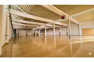 Büro zu mieten in 3105 Unterradlberg, Produktions- und Lagerhalle mit PV-Anlage — Unterradlberg