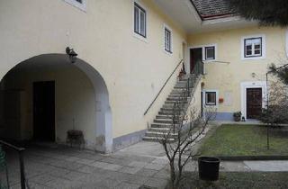 Wohnung kaufen in 3400 Klosterneuburg, Super Anleger-Garconniere im Martinsviertel-Klosterneuburg