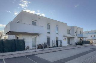 Wohnung mieten in Schwechatstraße 30, 2514 Traiskirchen, Moderne Wohnung mit offenem Wohn-Schlafraum