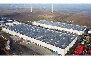 Gewerbeimmobilie mieten in Bruck An Der Leitha, 2460 Bruck an der Leitha, Logistik, Lager & Produktionsflächen im CTPark Bruck a. d. Leitha 5900 m²