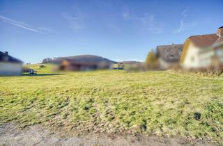 Grundstück zu kaufen in 2534 Alland, Sonne + Ruhe | Baugrund in Sackgasse!