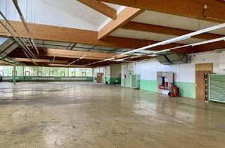 Büro zu mieten in 4881 Straß im Attergau, Aktion € 3,5/m2/netto geräumiger Hallenkomplex mit 4.000m2 für Lager/Gewerbe am Attersee zu vermieten