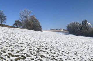 Grundstück zu kaufen in Hauptstraße, 4542 Nußbach, Traumhaftes Baugrundstück in 4542 Nußbach - Ihr Eigenheim wartet auf Sie!
