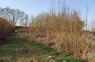 Grundstück zu kaufen in 4923 Kobernaußen, Baugrundstück in Kobernaußen ohne Bauzwang