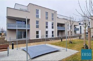 Wohnung mieten in Mozartstraße 12B WE 16, 3680 Persenbeug, Großzügige 2-Zimmerwohnung - Top 16