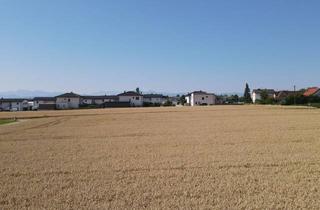 Wohnung kaufen in Kornweg 02, 4531 Kematen an der Krems, Dreifamilienhaus!!!!! Erstbezug mit Südbalkon, Carport und flexiblem Raumkonzept!