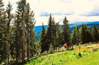 Grundstück zu kaufen in 8742 Obdach, Alpen-Baugrundstück, voll aufgeschlossen auf 1.400 Metern Seehöhe!