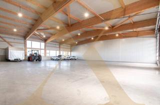 Gewerbeimmobilie mieten in 4320 Perg, Neuwertige & beheizte Lager- oder Gewerbehalle mit Rolltor in Arbing (Bezirk Perg) zu vermieten!