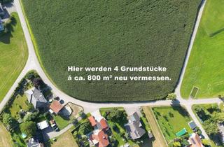Grundstück zu kaufen in 4753 Taiskirchen im Innkreis, Top Grundstücke in Breitenried