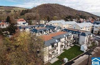 Wohnung kaufen in 2103 Langenzersdorf, Bezugsfertige Eigentumswohnung auf Eigengrund – Wohnen vor den Toren Wiens