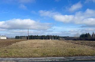 Grundstück zu kaufen in 7552 Stinatz, Grundstück mit Widmung gemischtes Baugebiet und Hausgärten