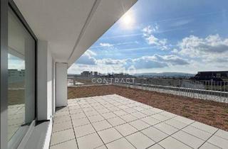 Penthouse kaufen in 3500 Krems an der Donau, KREMSER WOHNKONZEPT TOP76/6.OG/ PENTHOUSE frei finanziert € 533.306,92 zzgl. 2 TG € 35.161,74 > Gesamtkaufpreis € 568.468,66 - klimaaktiv!