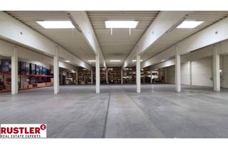 Büro zu mieten in 4063 Hörsching, Halle mit Büro