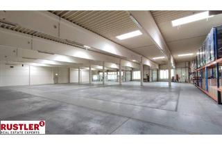 Büro zu mieten in 4063 Hörsching, Große Hallenfläche mit Büro