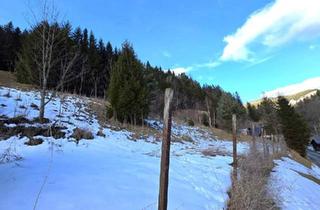 Grundstück zu kaufen in 2680 Semmering-Kurort, Natur, Ruhe und Aussicht – 2400 m² Baugrund am Semmering