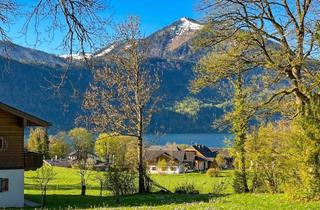 Grundstück zu kaufen in 5360 Aschau, Exklusives Grundstück über dem Wolfgangsee – Ruhe, Weitblick & Natur pur