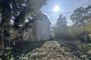 Haus kaufen in Gerasdorfer Straße, 1210 Wien, Floridsdorf / sonniger Baugrund mit einem kleinem Haus / € 498.000,00