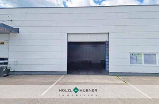 Büro zu mieten in 5071 Wals, Halle mit Büroflächen, nahe Autobahnanschluss