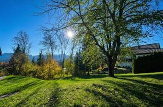 Grundstück zu kaufen in 9220 Velden am Wörther See, NEUER PREIS - Sonnengrundstück in begehrter Lage und Seenähe!