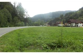  in Stojenstraße, 8692 Krampen, NEUBERG AN DER MÜRZ/KAPELLEN - SCHÖN GELEGENE BAURECHTSGRÜNDE