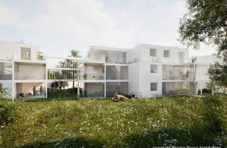 Grundstück zu kaufen in 3002 Purkersdorf, Zentrales Bauträgergrundstück in Purkersdorf