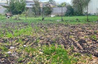 Grundstück zu kaufen in 7122 Gols, Gols: 1 oder 2 Baugrundstücke in ruhiger, eingesessener Wohngegend (Bauland Mischgebiet)