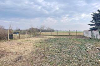 Grundstück zu kaufen in 2425 Nickelsdorf, Anlage! Attraktiver, großer Baugrund in Ruhelage inkl. Altbestand: Ruhelage, alteingesessenes Wohngebiet