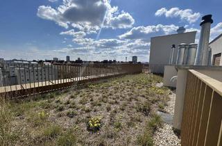 Wohnung mieten in 1200 Wien, Helle 1-Zimmer-Wohnung im 8. OG mit Dachgarten