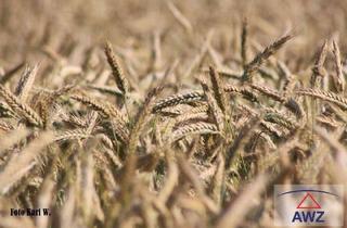 Gewerbeimmobilie kaufen in 4753 Taiskirchen im Innkreis, Verkaufe schöne Ackerfläche mit ca. 1,5 Hektar!