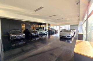Büro zu mieten in 4800 Attnang, Moderner Autohandel in TOP-Lage – Showroom, Büro, Klima & großzügige Stellflächen | Attnang-Puchheim