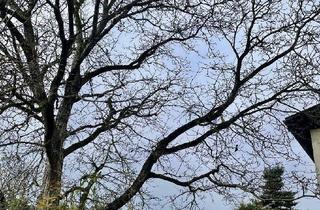 Haus kaufen in 4203 Altenberg bei Linz, Traumhaftes Baugrundstück mit Altbestand in sehr guter Lage!