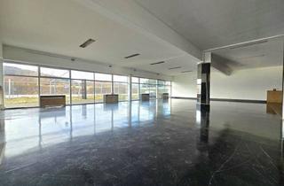Büro zu mieten in 4800 Attnang, Neuer Preis! Modernisiertes Autohaus in TOP-Lage mit über 30 Stellplätzen, Büroflächen u. v. m.