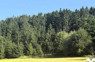 Grundstück zu kaufen in 4212 Neumarkt im Mühlkreis, Waldflächen