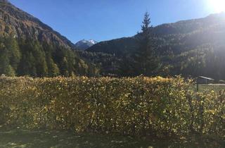 Wohnung mieten in 6450 Sölden, Traumhafte Gartenwohnung mit Bergblick in Sölden