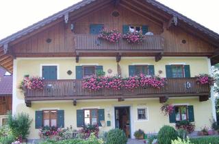 Wohnung mieten in Latschenstr. 19, 5084 Großgmain, Schöne Wohnung mit Garten, Balkon und Terrasse im Grünen